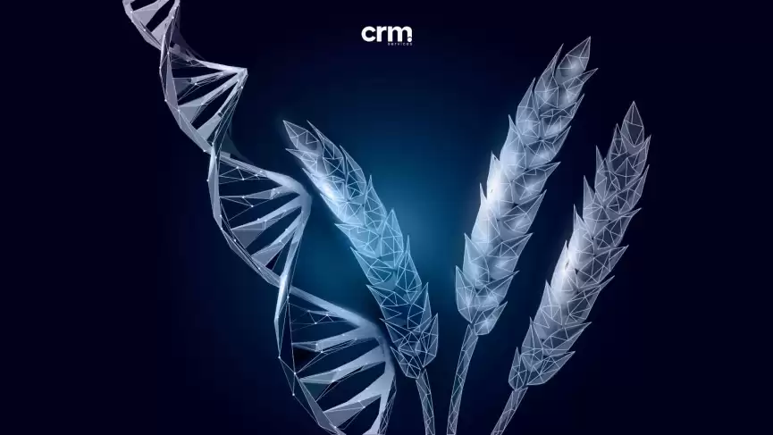 Grãos de trigo e DNA em uma imagem